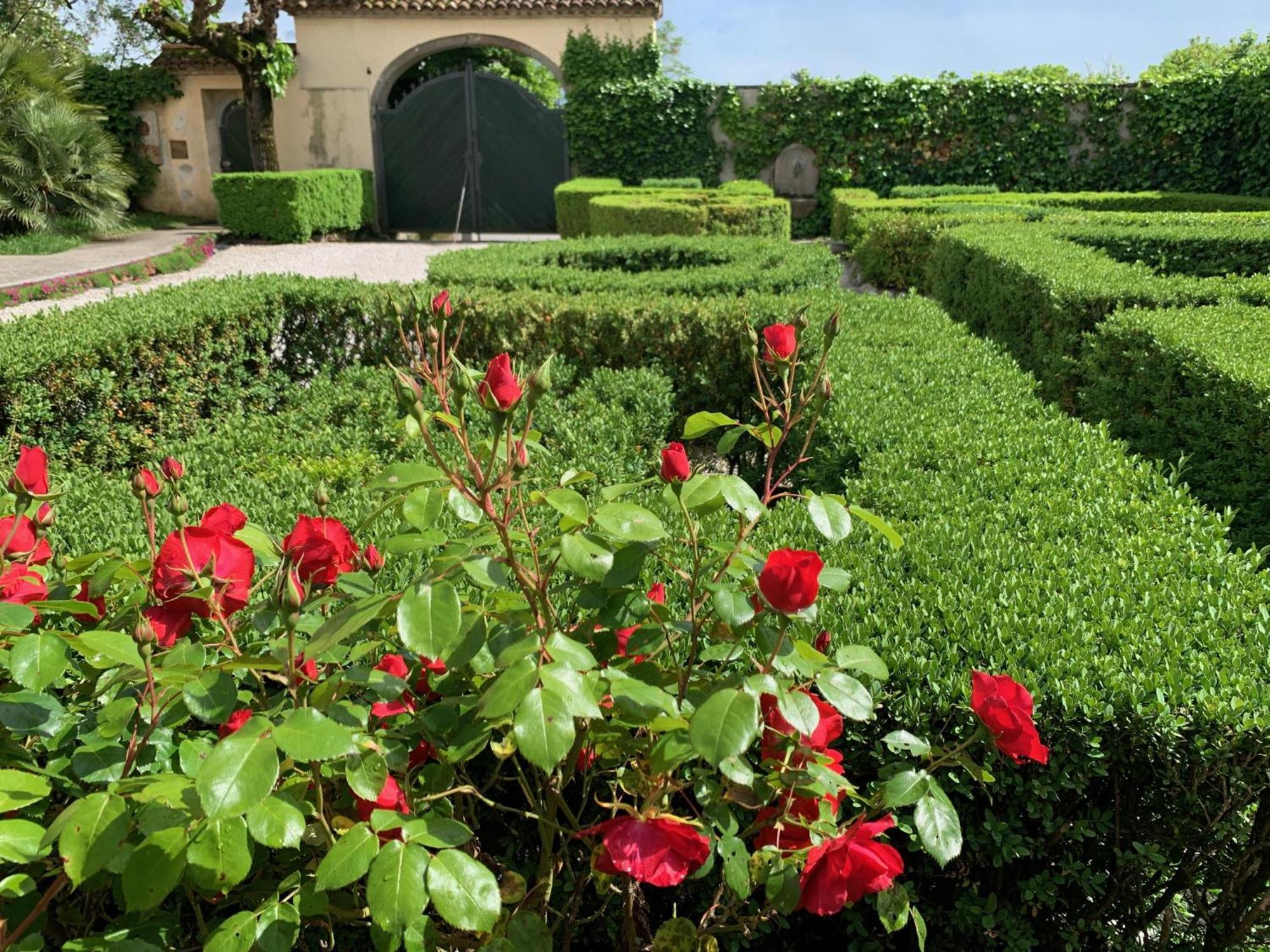Casa Due Tigli B&B Corno di Rosazzo Esterno foto